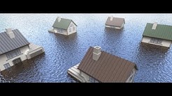 Water Damage Fort Lauderdale Service | Company for Home Removal & Repair