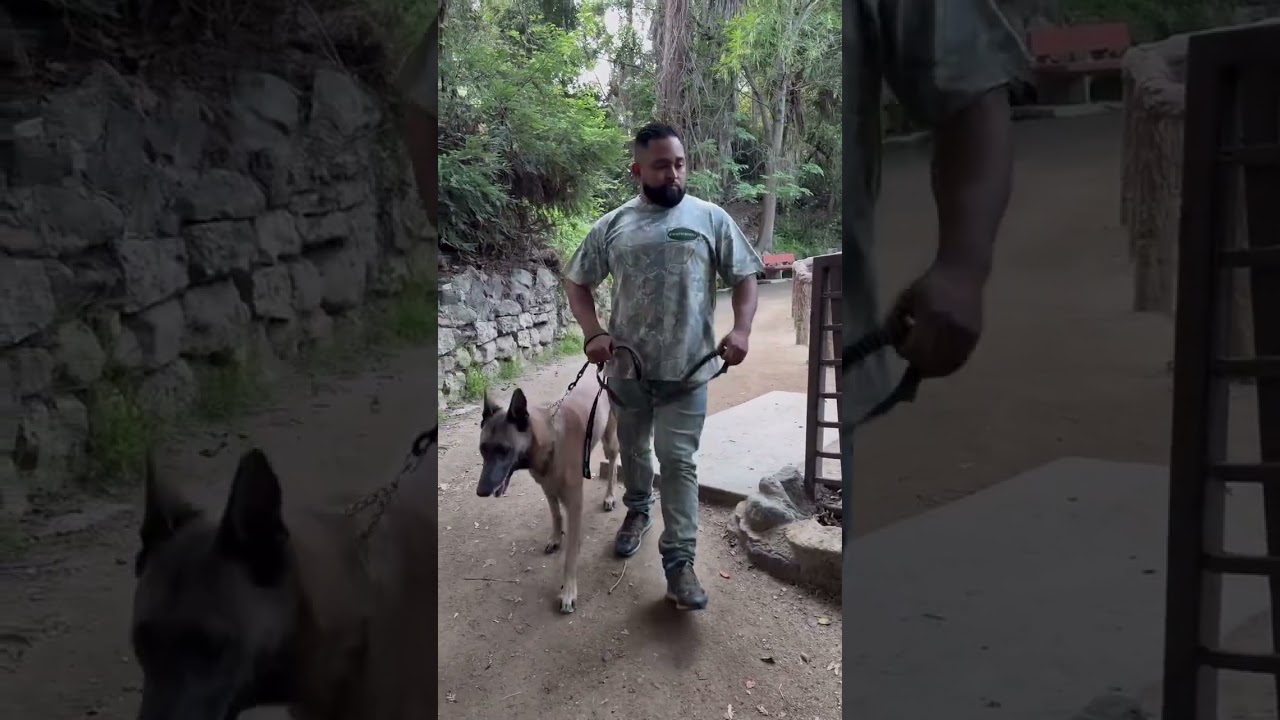 Pack Hunter T Vintage Camo shirt available at 👇🏽WWW.BACKPACKBOYZMERCH.COM 