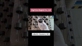 Injection molded magnets