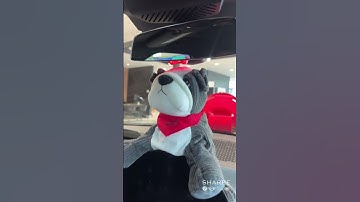 FAQ Friday: How to turn off the motion sensor in my MINI #miniusa #minicooper #faq #motionsensor