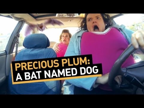 Precious Plum: A Bat Named Dog