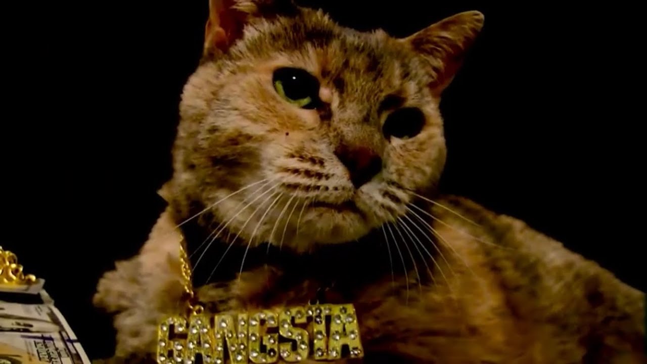 Precious The Rapper, Tyrone - PRECIOUS (Music Video) - YouTube