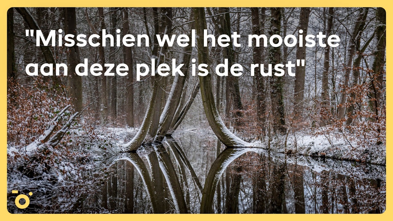 Ontdek het INDRUKWEKKENDE en VEELZIJDIGE landgoed TWICKEL | Pinned