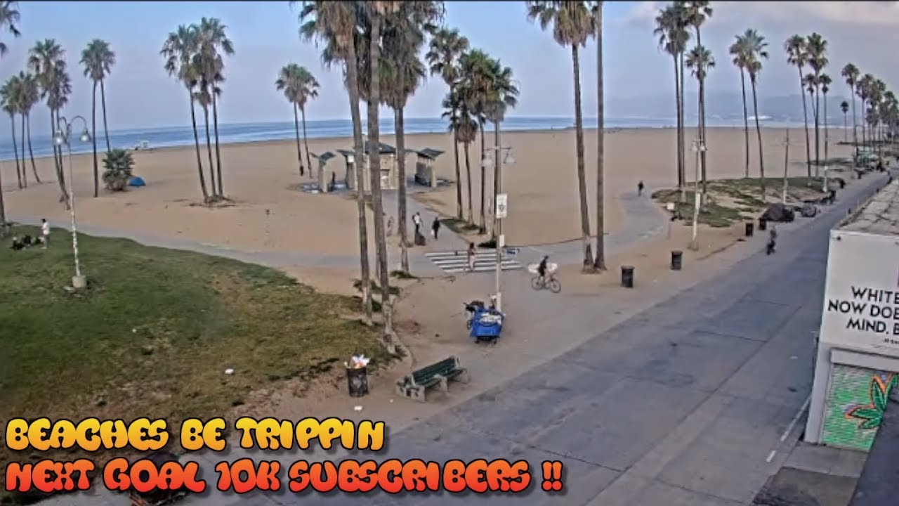 Venice Beach Live Camera