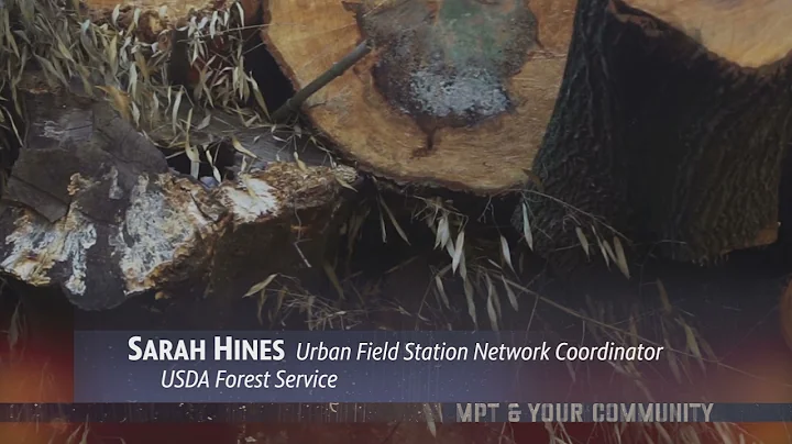 MPT & Your Community: The Urban Wood Project with ...