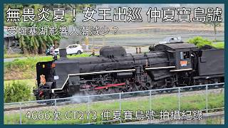 【剪輯紀錄 仲夏寶島號】無畏炎夏！女王出巡 仲夏寶島號！受堰塞湖影響人潮不如以往？4666次 CT273 仲夏寶島號 拍攝記錄 | 2026年7月18日