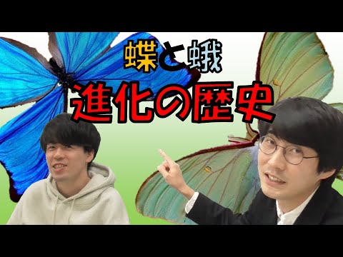 【解説】蝶と蛾の違いと進化について新しい説が発表されたのでざっくり解説