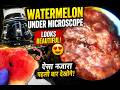 Watermelon Under Microscope 😍 Itna Beautiful Kabhi Notice Kiya#science #trending #food #microscope