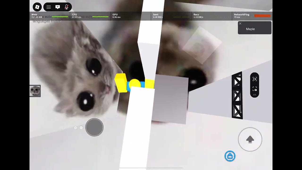 sad hamster obby (Tier 5) - Mobile Completion | Tier 5 Obby by 5uvam