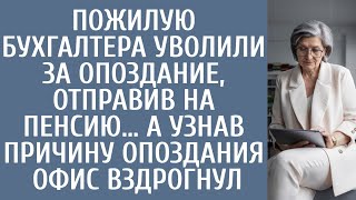 видео: Пожилую бухгалтера уволили за опоздание отправив на пенсию… А узнав причину опоздания офис вздрогнул картинка: Пожилую бухгалтера уволили за опоздание отправив на пенсию… А узнав причину опоздания офис вздрогнул
