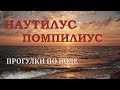 Наутилус Помпилиус. Прогулки по воде.