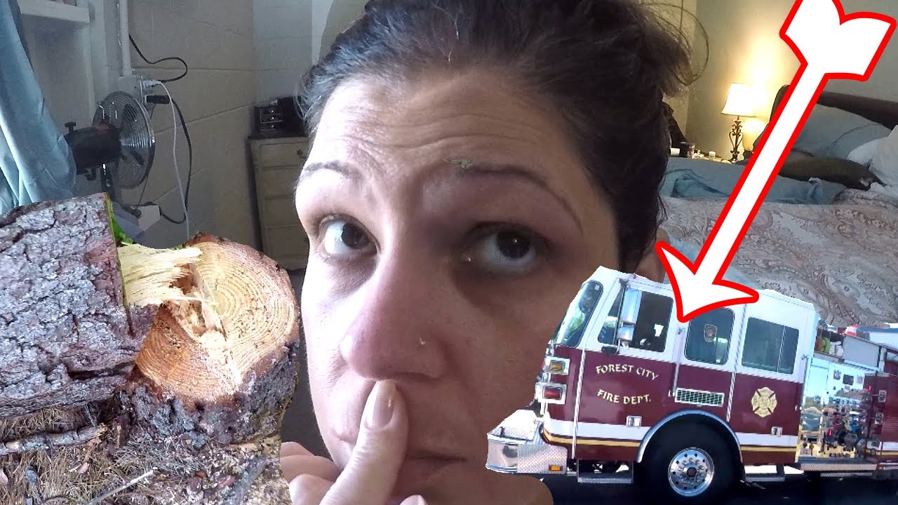 RV Calls Dropping Trees! YouTube