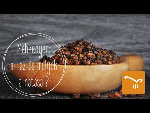 Videó: Melyek a visszaélésszerű magatartás tulajdonságai?