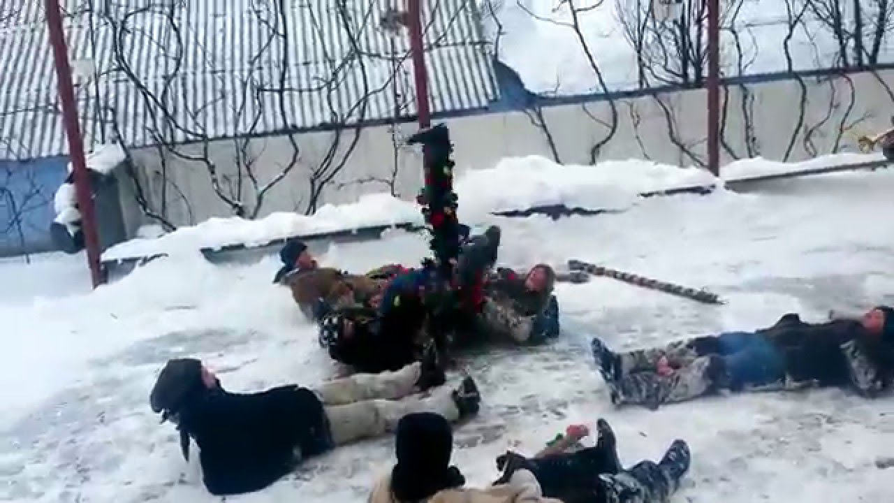 Ursul de la Iorcani 2015