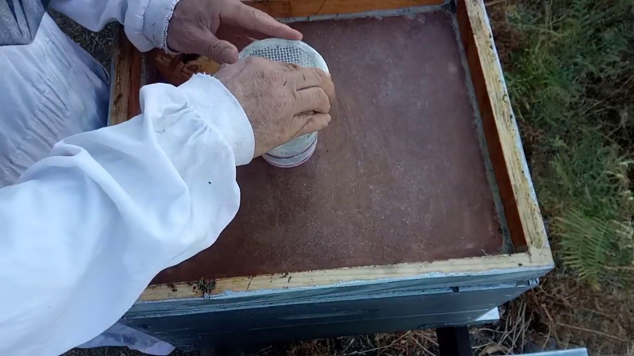 10-Lutte biologique contre Varroa-IV- Compléments et controle final