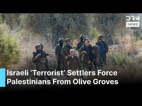 ‘They Prevented Us From Harvesting’: Israeli Terrorist Settlers Force Palestinians in West Bank|AC1G