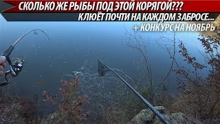 СКОЛЬКО ЖЕ РЫБЫ ПОД ЭТОЙ КОРЯГОЙ??? КЛЮЁТ НА КАЖДОМ ЗАБРОСЕ!!! Рыбалка в ноябре на спиннинг 2019