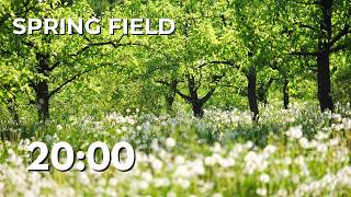 20 Minute Spring Field Study Timer 🌿 | Light Breeze & Quiet Focus screenshot 2