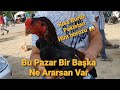 ADANA KUŞ ve TAVUK PAZARI ( EKİM 2020 ) HARİKA BİR PAZAR