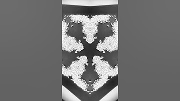 RICE GRAINS VISUALISATION