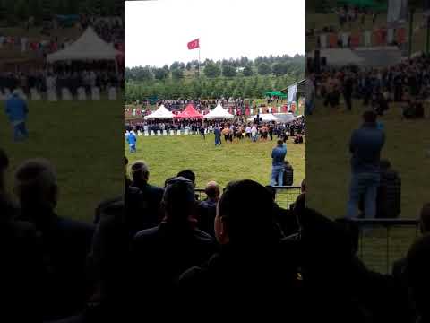 Perşembe Yaylası 2022