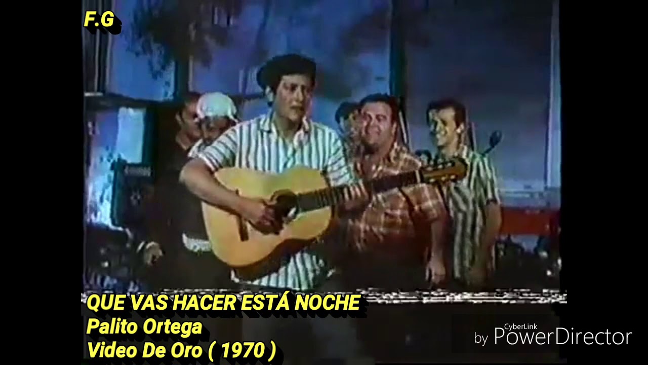 QUE VAS HACER EST NOCHE PALITO ORTEGA YouTube