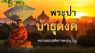 พระป่าผู้บ้าธุดงค์ - หลวงพ่อสุพิศ กตปุญโญ