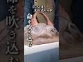 【FENDI】スパイバッグ/命を吹き込む