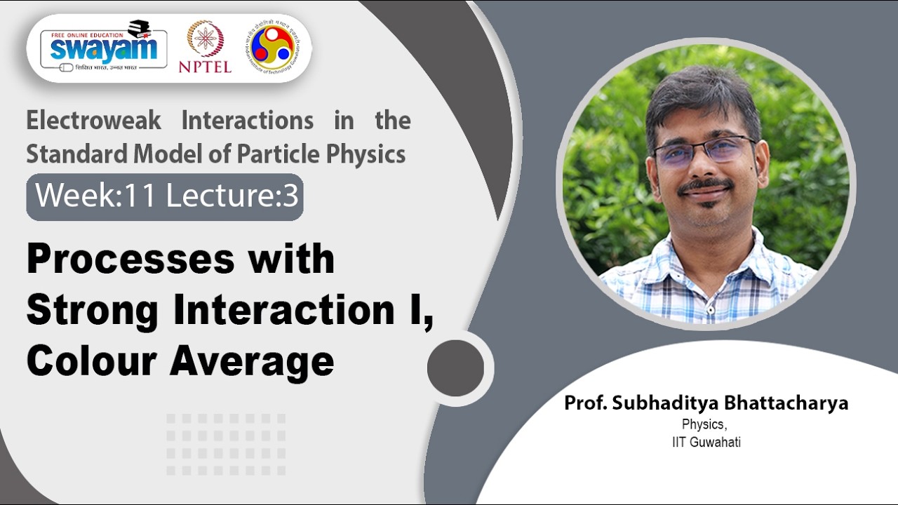 Lec 55: Processes with Strong Interaction I, Colour Average
