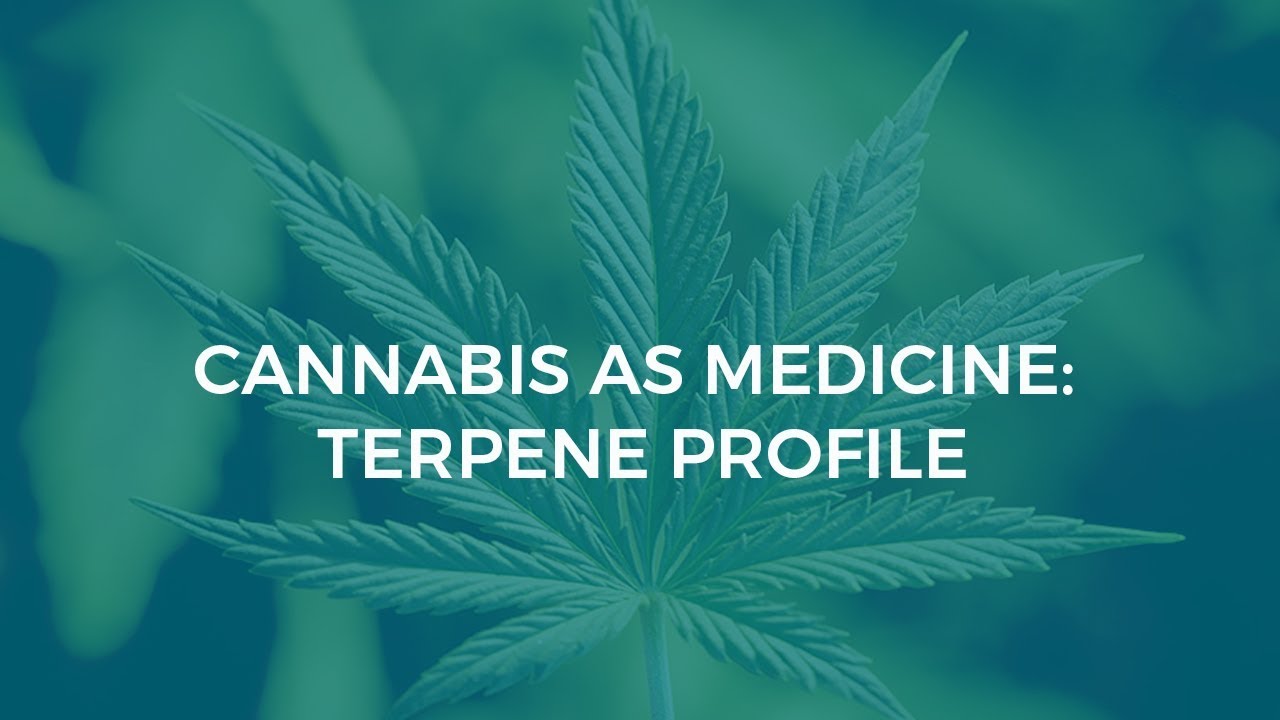 Cannabis as Medicine: Terpene Profile
