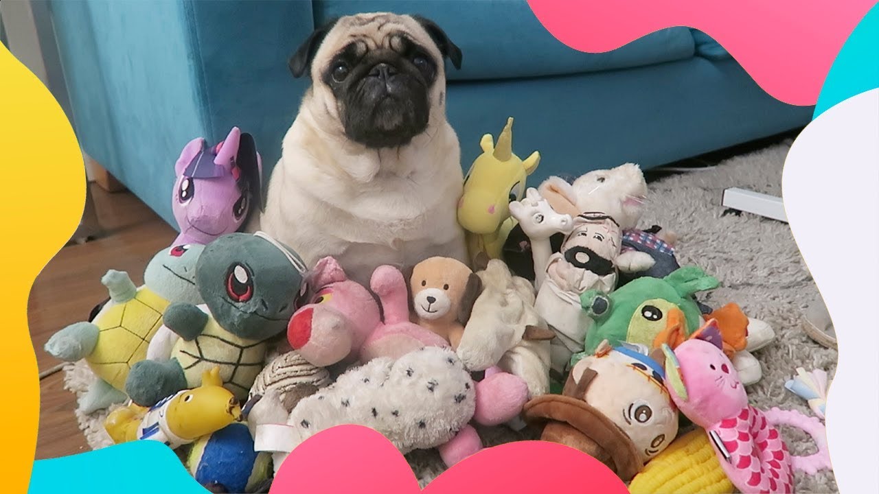 Marioneta de mano de perro Pug de boca abierta, juguete de peluche
