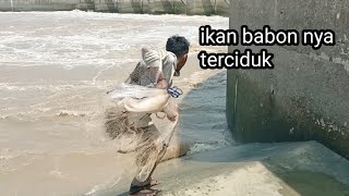 berkah Ramadhan ...menjala ikan di pintu air bendung gerak dapat ikan besar