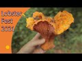 Mushroom hunting  lobster mushrooms