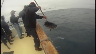 Bubba Bluefin 🐟 'Intrepid Sportfishing'  8 Day  Seeker Rods June 2010 by Lucky Cat Adventures 😺 481 views 5 years ago 14 minutes, 48 seconds