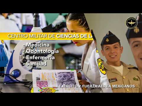 Sistema Educativo Militar.