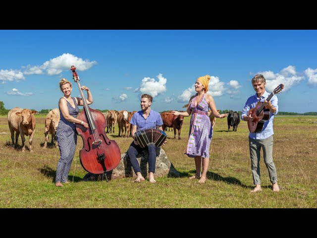 TRIO MAAG feat. ISABEL BERMEJO - En mi jardín