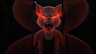 You Wont Believe What This Kitten Did To Moms Hair