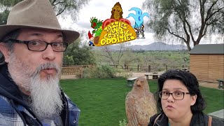 We Found a Gem in Hidden Valley Wildlife Preserve
