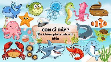 Con Gì Đây | Sinh Vật Biển | Tiếng Kêu Con Vật | Dạy Bé Học Nói Tên Con Vật, Cá Heo, Cá Mập, Hải Cẩu