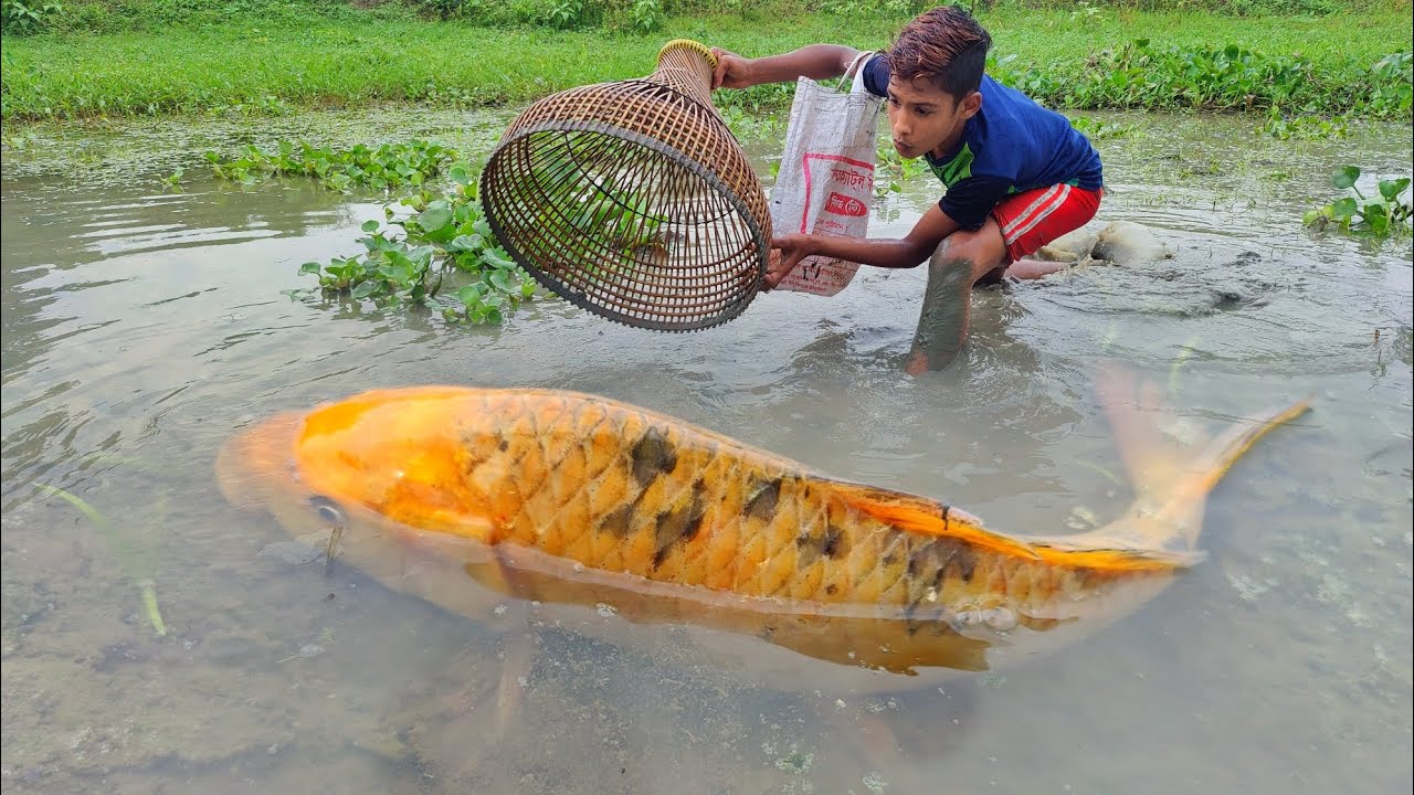 Best Polo Fish Hunting Video 2023 | Village Boy Fishing By Bamboo Tools ...