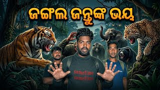 ଜଙ୍ଗଲ ଜନ୍ତୁ ଙ୍କ ଭୟ 🐗🦧🦣 #ghost #wildlife #Real ghost hunt in Odisha #iamviralavighostvlog