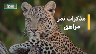 البرية الجامحة: مذكرات نمر مراهق | HD