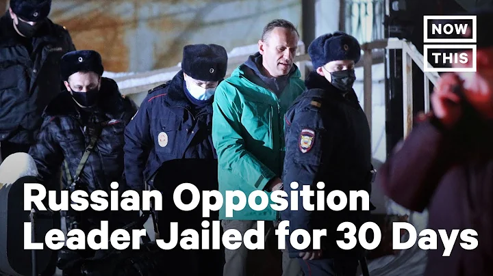 Putin Critic Alexey Navalny Jailed Upon Returning to Russia