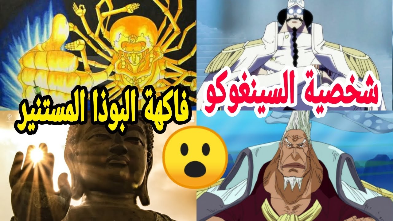 تقرير عن قائد الأسطول السابق سينغوكو🔥/ شرح فاكهة البوذا للسينغوكو😱 /سر ...