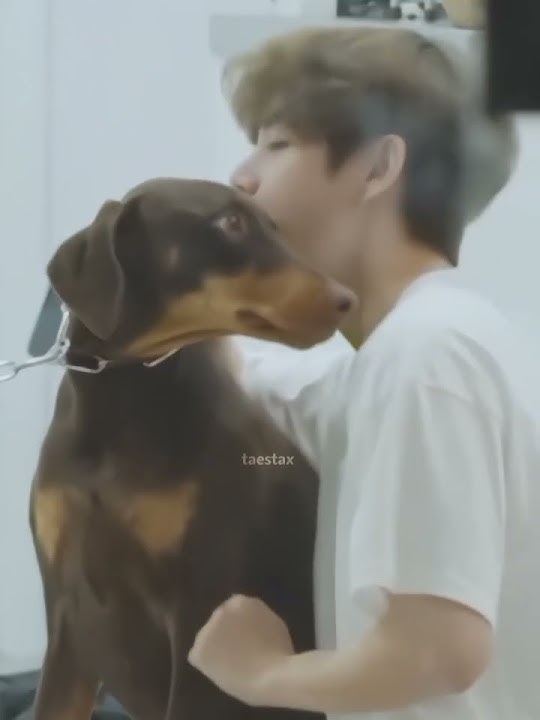 They're so cute 🥺🤏🏻 #kimtaehyung #taehyung #thv #taeshorts