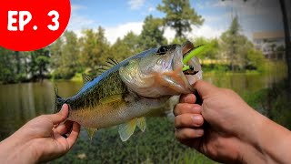 Fishing like Aggressively Average Anglers | Z-Man Finesse TRD