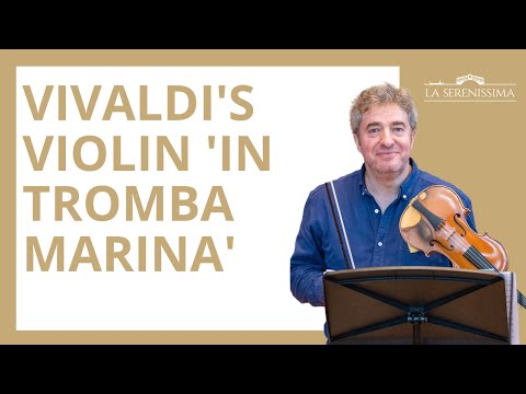 Vivaldi's violin 'in tromba marina'