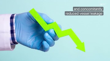 Bone marrow stem cells reduce vascular leakage by targeting the protein ABL2 via the miRNA let-7-5p