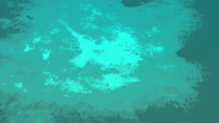 2014 0706 Snorkeling 03