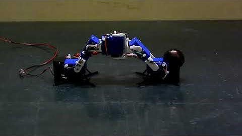 Inchworm Robot Closeup